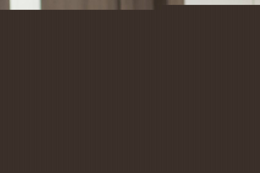 현안사항 보고회_0