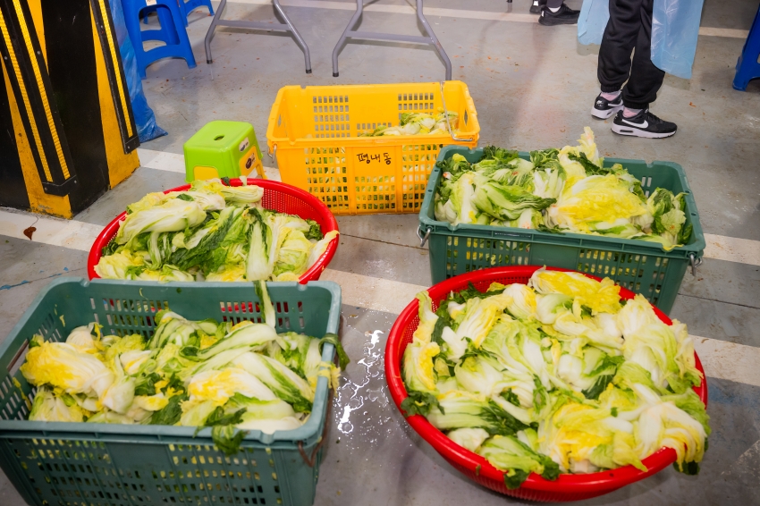 2025. 11. 18. 평내동 김장체험 및 사랑나눔 김장축제_6