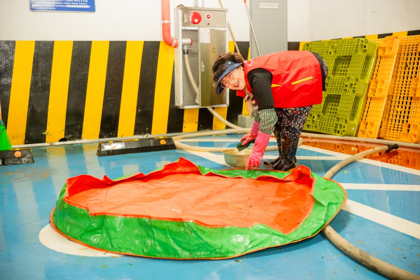 2025. 11. 18. 평내동 김장체험 및 사랑나눔 김장축제_23