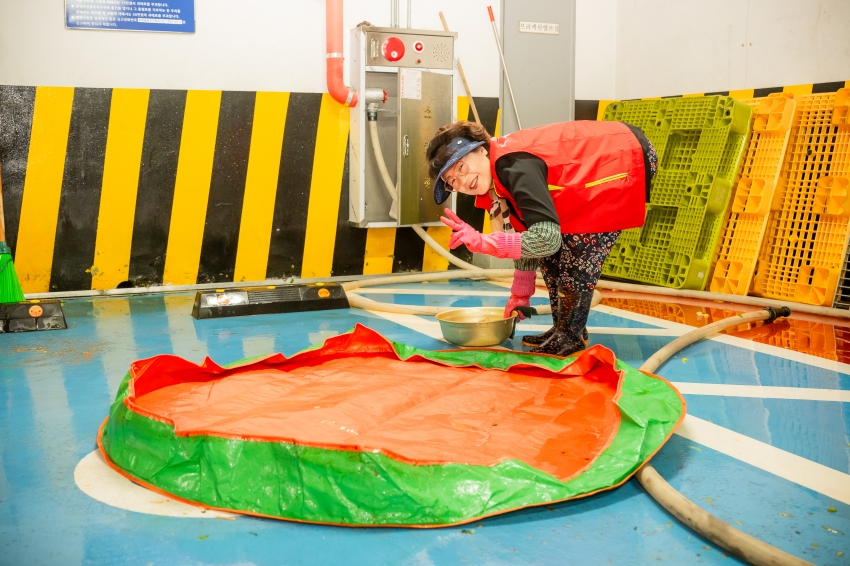 2025. 11. 18. 평내동 김장체험 및 사랑나눔 김장축제_24