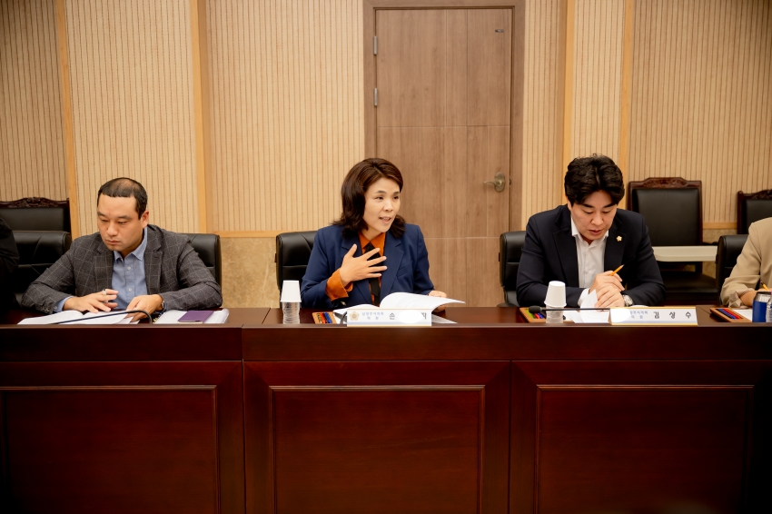 2025. 10. 13. 남양주시 스포츠 경쟁력 강화와 스포츠 브랜드 도시 발전방안 연구용역 최종보고회_16